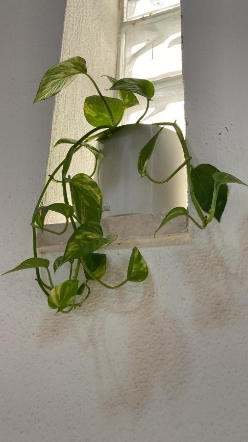 Locanda Le Ginestre Cantalupo in Sabina Εξωτερικό φωτογραφία