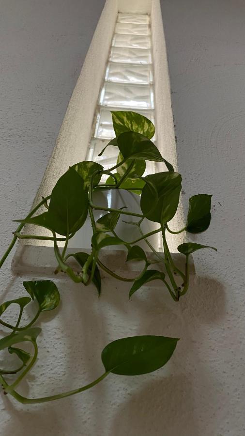 Locanda Le Ginestre Cantalupo in Sabina Εξωτερικό φωτογραφία